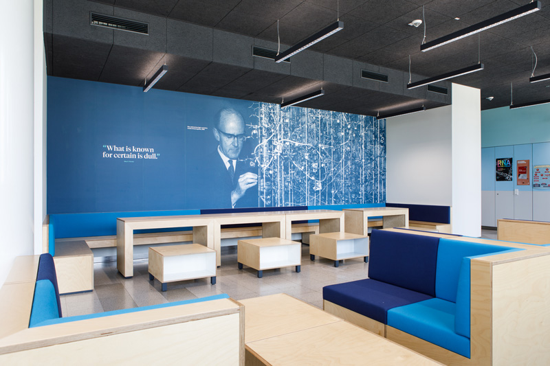 The newly designed study space with with branding colors blue and modular furniture