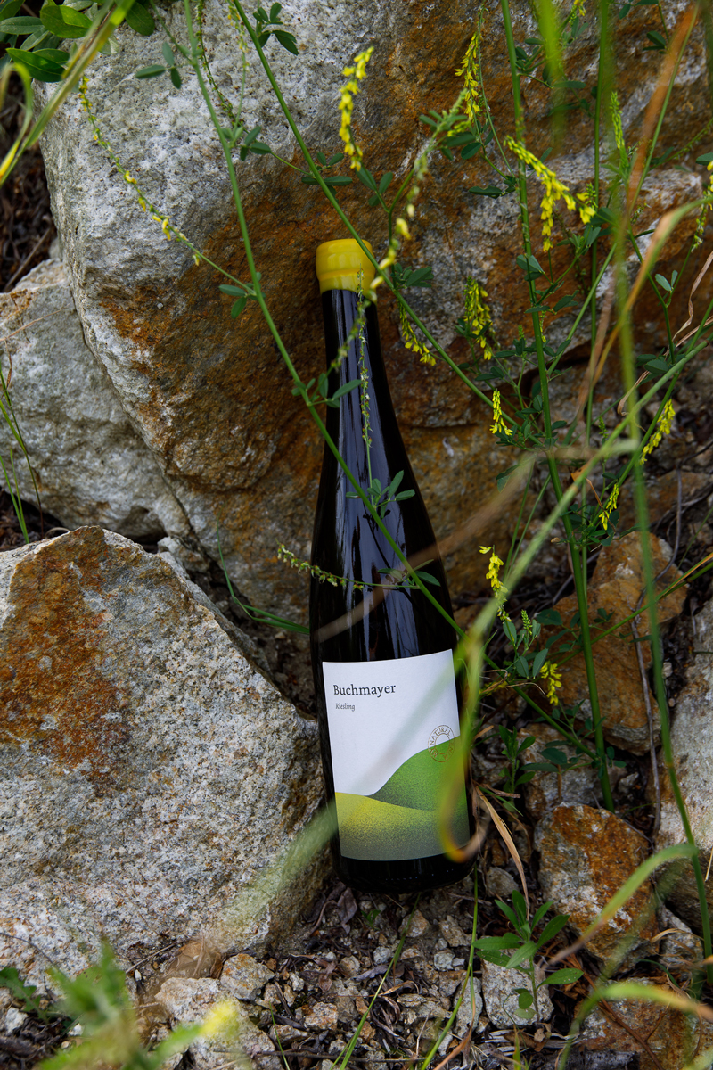 Weinflasche in der Natur fotografiert, mit Steinen im Hintergrund und rundum wachsenden Pflanzen